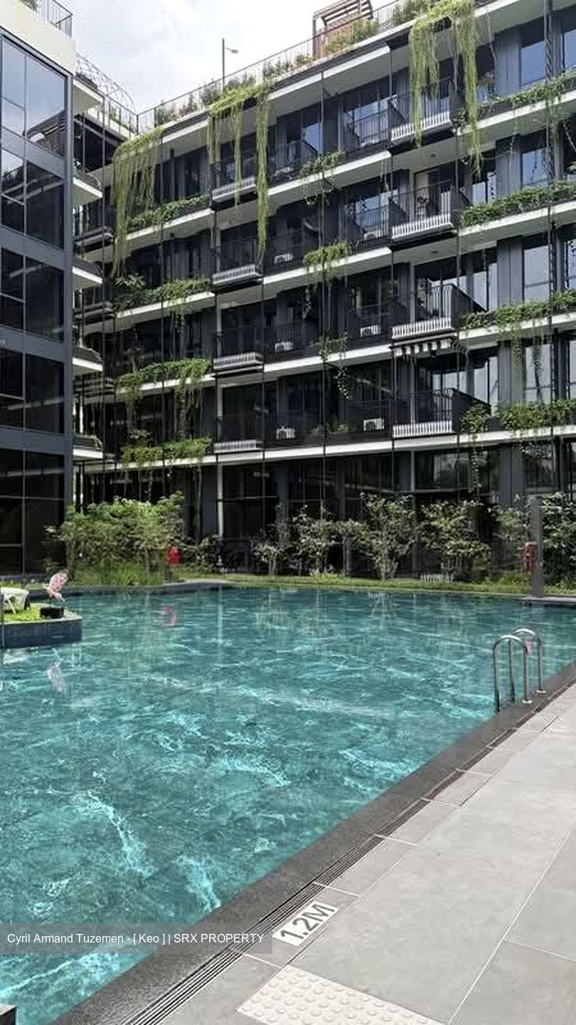 Kim Seng Promenade (D9), Condominium #599761421